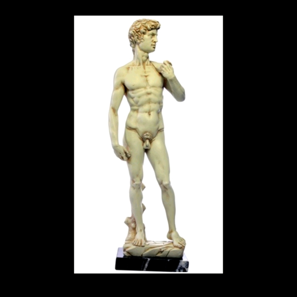 David dy Michelangelo, 1501-1540 Galleria Dell`Aca